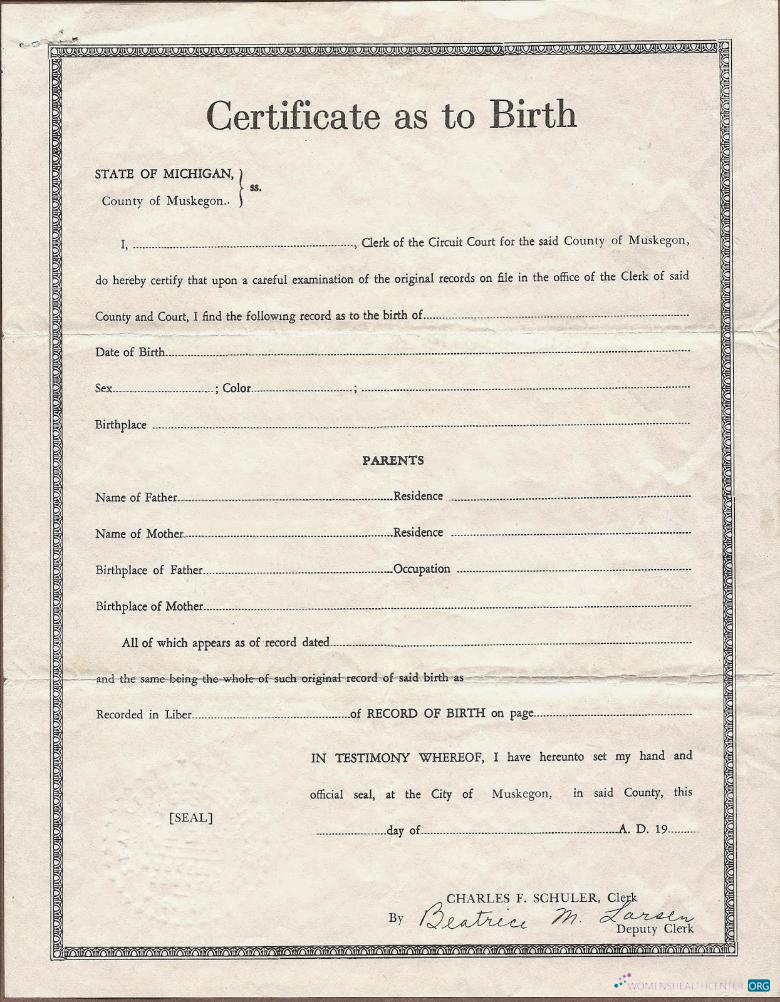 Download United State Circuit court of Michigan birth certificate Photoshop template